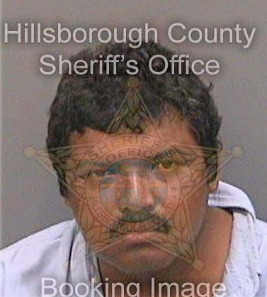Molinacazarin Jesus - Hillsborough County, FL 