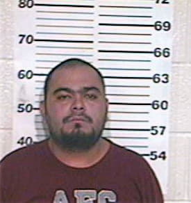 Gamon Jorge - Hidalgo County, TX 