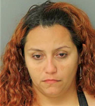 Rodriguez Luz - Wake County, NC 