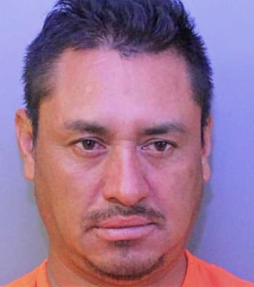 Moran Saul - Polk County, FL 