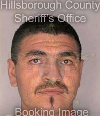 Villasenor Sergio - Hillsborough County, FL 