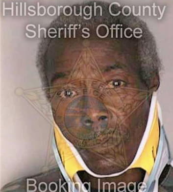 Bellinger Leroy - Hillsborough County, FL 