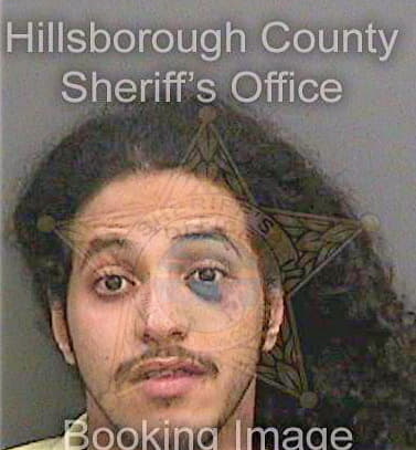 Alarifi Saqer - Hillsborough County, FL 