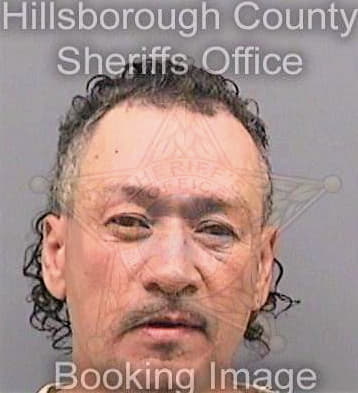 Cintron Victor - Hillsborough County, FL 