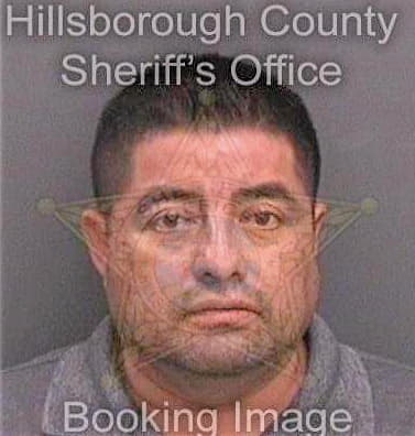 Castellanos-Romero Asuncion - Hillsborough County, FL 