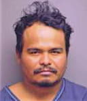 Gomes Joel - Manatee County, FL 