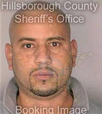 Rodriguez Luis - Hillsborough County, FL 