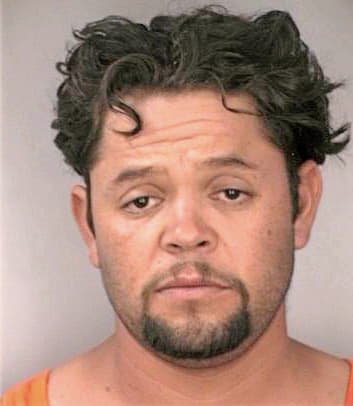 Huizar Naninga - Hillsborough County, FL 