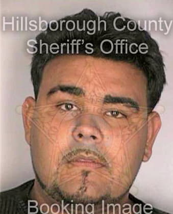 Leon Henry - Hillsborough County, FL 