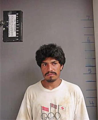 Garcia Jesus - Brazos County, TX 