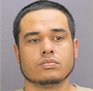 Medina Stephen - Broward County, FL 