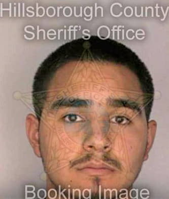 Barillas Gerardo - Hillsborough County, FL 
