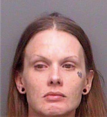 Pierce Karen - Pinellas County, FL 