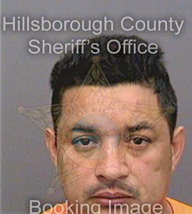Galindoacosta Selvin - Hillsborough County, FL 