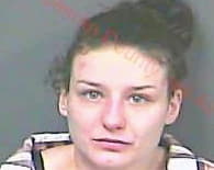 Hopkins Brittany - Desoto County, MS 