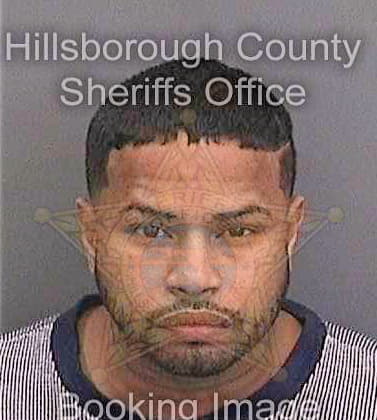 Sedapacheco Cesar - Hillsborough County, FL 