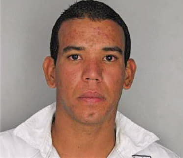 Perezhidalgo Hector - Hillsborough County, FL 