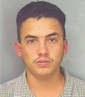Gudino Jaimeli - Polk County, FL 