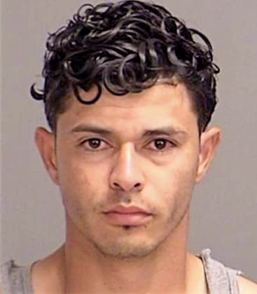 Meza-Maldonado Jesus - Brazos County, TX 
