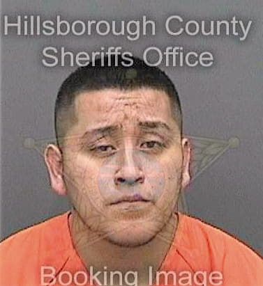 Alvarez Juan - Hillsborough County, FL 