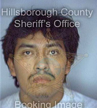 Garcia Leonardo - Hillsborough County, FL 