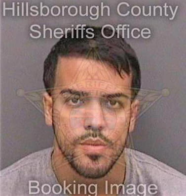 Lagaresdiaz Michael - Hillsborough County, FL 