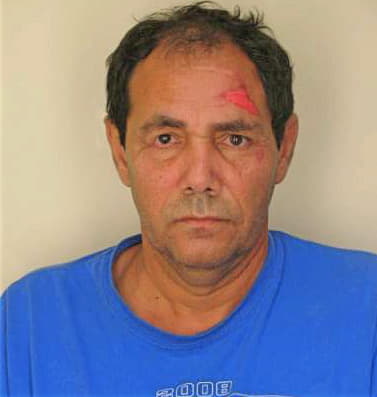 Irizarry Virgilio - Hillsborough County, FL 