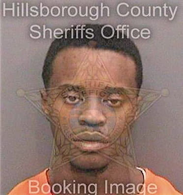 Williams Davondre - Hillsborough County, FL 