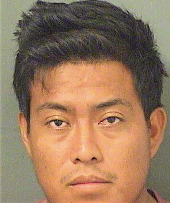 Reynoso Ervin - PalmBeach County, FL 