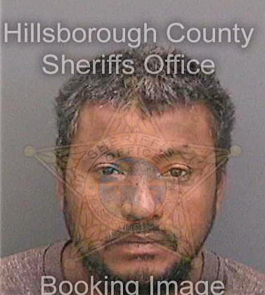 Garciaflorez Melvin - Hillsborough County, FL 