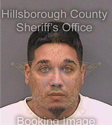 Rodriguez Michael - Hillsborough County, FL 