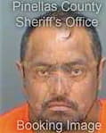 Mezquite Rafael - Pinellas County, FL 