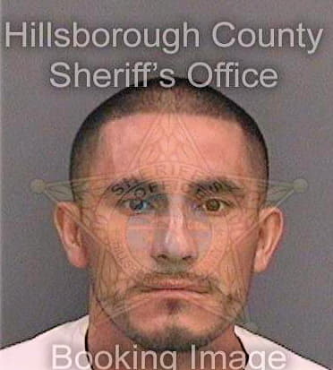 Jimenezaguillon Ricardo - Hillsborough County, FL 