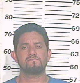 Herrera Jose - Hidalgo County, TX 