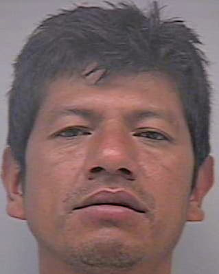 Ramirez-Verne Jose - Gwinnett County, GA 