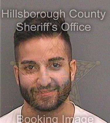Sedigh Kevan - Hillsborough County, FL 