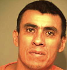 Moreno Mario - Hidalgo County, TX 