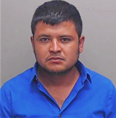 Grimaldo-Molina Pedro - Hays County, TX 