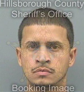 Perez Raymond - Hillsborough County, FL 