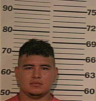 Avalos Jorge - Hidalgo County, TX 