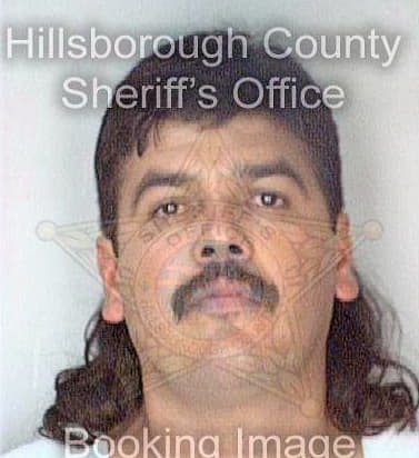 Alvarez Jose - Hillsborough County, FL 