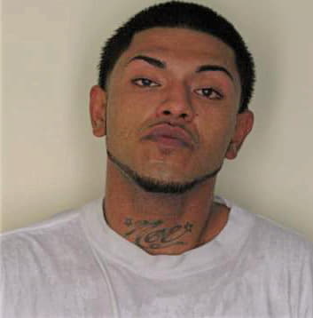 Hernandez Noe - Hillsborough County, FL 