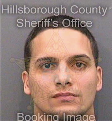 Alveriocolon Robert - Hillsborough County, FL 