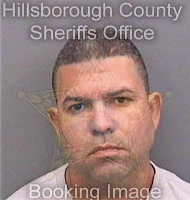 Reyesguitian Alexander - Hillsborough County, FL 