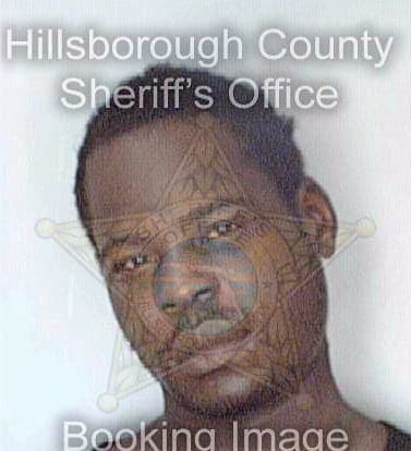 Lewis Anthony - Hillsborough County, FL 