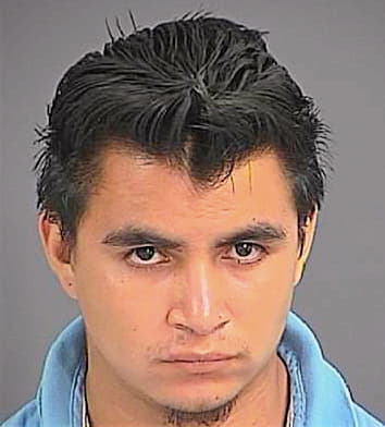 Hernandez Luis - Charleston County, SC 