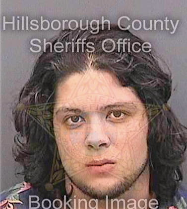 Sampson Nicholas - Hillsborough County, FL 