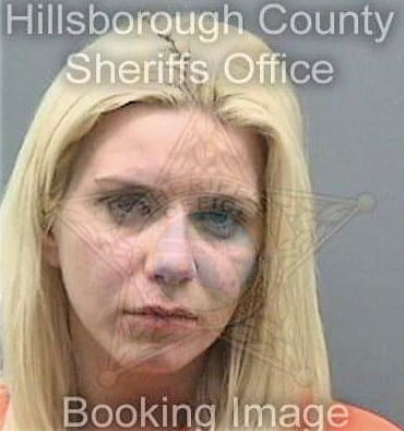 Schafer Brittany - Hillsborough County, FL 