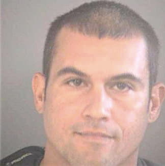Henriquez Michael - Hillsborough County, FL 