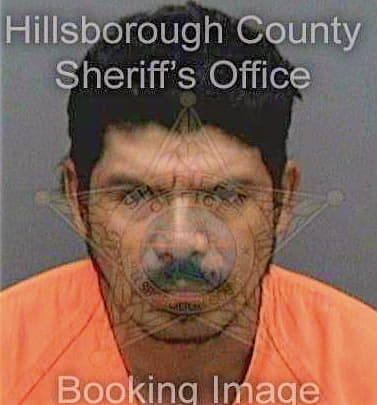 Perezcruz Ricardo - Hillsborough County, FL 